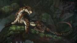 Thorny Leopard f.jpg